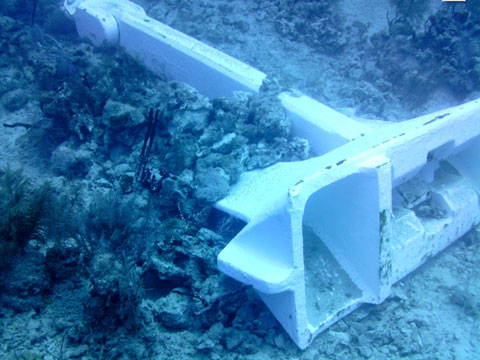 Reef Damage in Cayman Islands
